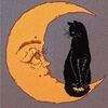 velvetmoonco
